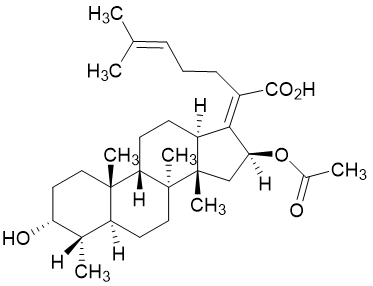 //www.bochenhealth.com/PNOFXDS-13.html