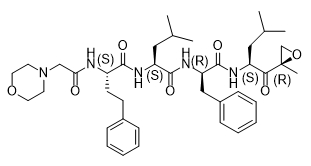 卡非佐米杂质22