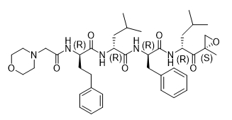 卡非佐米杂质33