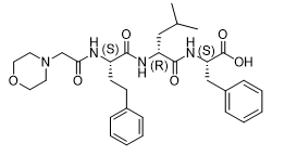 卡非佐米杂质36