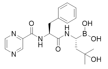//www.bochenhealth.com/usr/uploads/0/202408/PZTM-03.jpg