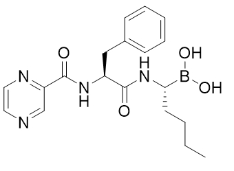 硼替佐米杂质1
