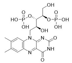 核黄素-3'，4'二磷酸