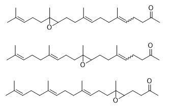 替普瑞酮氧化混合物1
